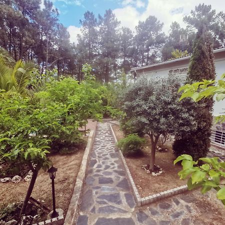 Villa Bonita Casa En El Bosque - El Tiemblo Exterior foto